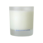 Washologi Soy Wax Candle Desire 300 ml