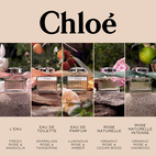 Chloe Signature EdP Refill 150 ml