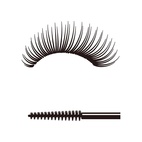 Sensai Mascara 38 C Lash Lengthener 10 ml