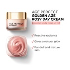 Loreal Paris Age Perfect Golden Age Day Cream 50 ml